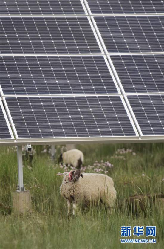 (新華全媒頭條·走向我們的小康生活·決戰決勝脫貧攻堅·圖文互動)(5)高原上綻放的光芒——來自青海攻克深度貧困堡壘的故事