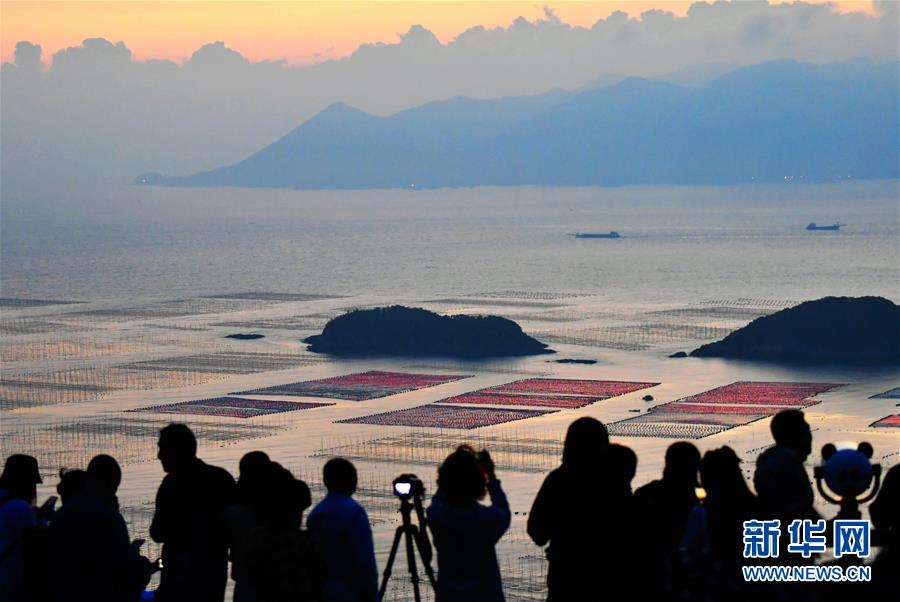 �����Aȫý�^�l���D�Ļ��ӣ���4�����p����ϲ��� һ�Ӽ҇��顪��ȫ�����ؚg�ȇ��c����ѹ�����