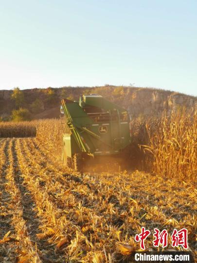 �����P�I�ں�����1.7�|Ԫ���b�ի@�C�����w���w�}��