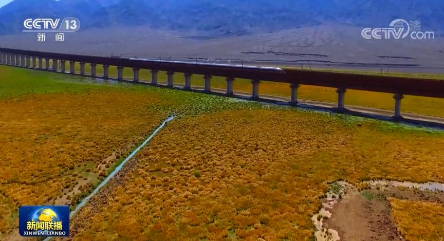 �m�¸��F����ҕ���͑��� �D