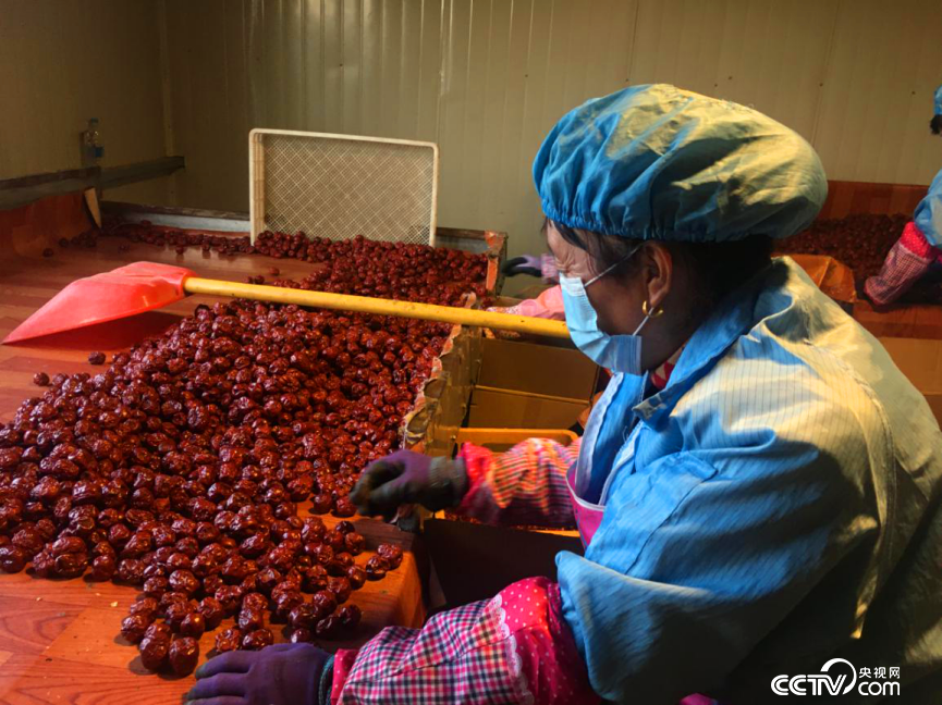 �ӹ�܇�g�ȹ������ڷ֒��t��