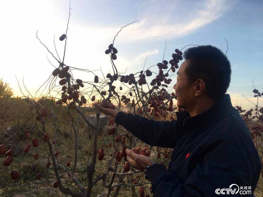 ��܊���B���������Ʒ�N�E��