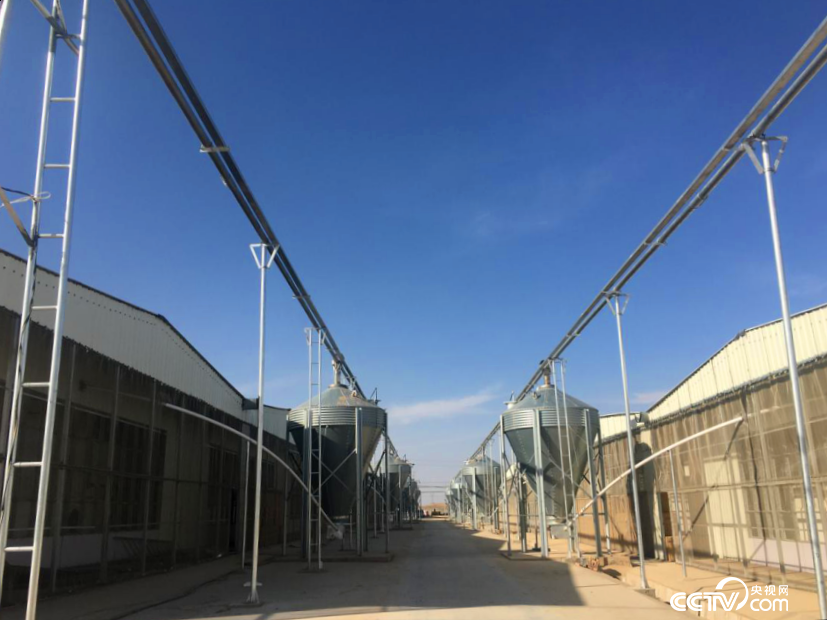 λ�ھ�̩�h�ݸC����½�������i�a�I���Ŀ