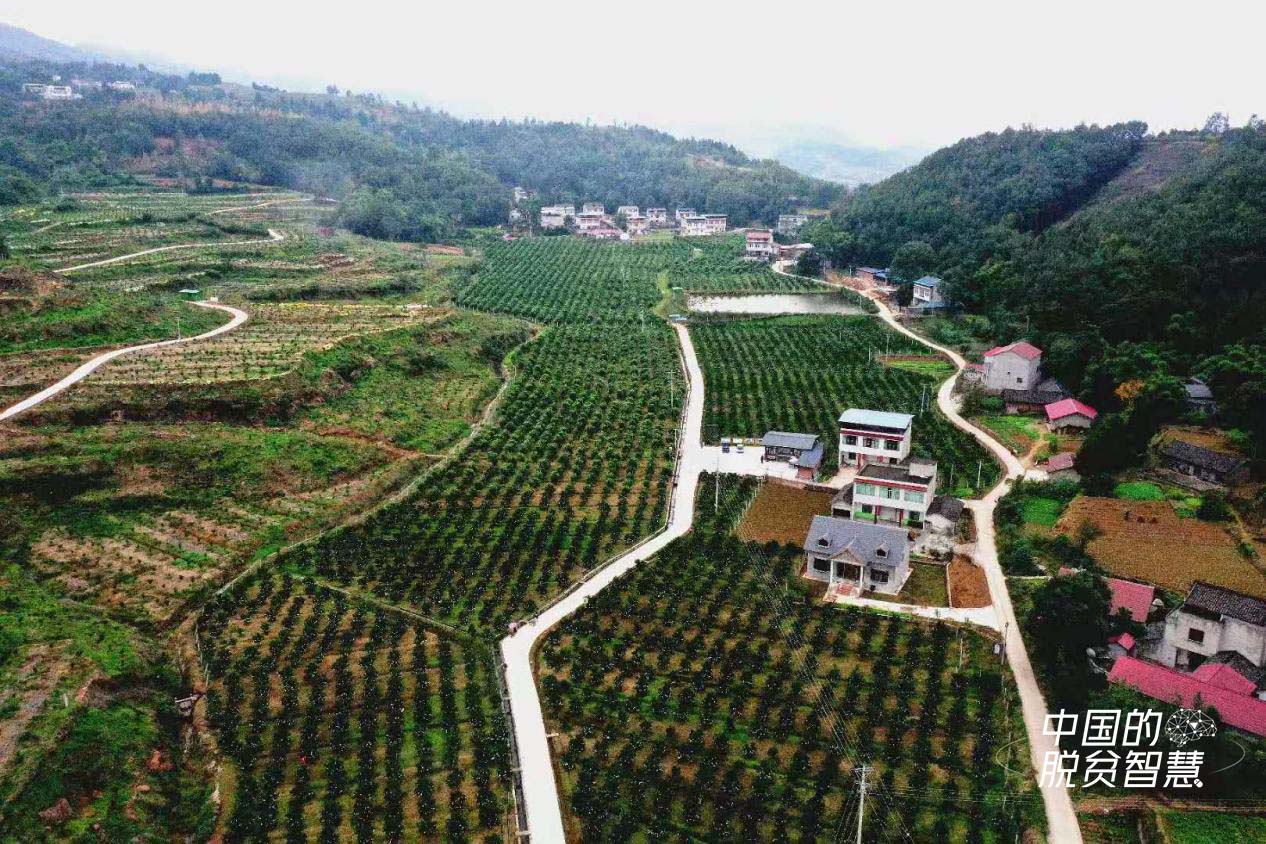 柳河村航拍(四川新聞網供圖)