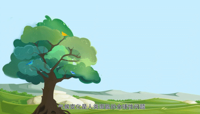 ���� | ����������(b��o)�����ᵽ�ġ�̼�_(d��)�塢̼�к͡���ʲô��