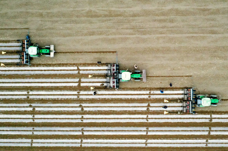 �½����f���޻��_��