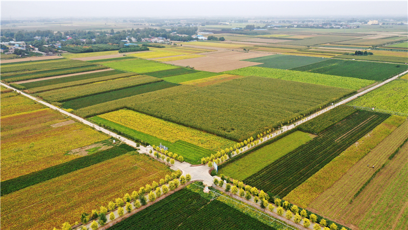 �҇���ԭ�r���؅^��ò