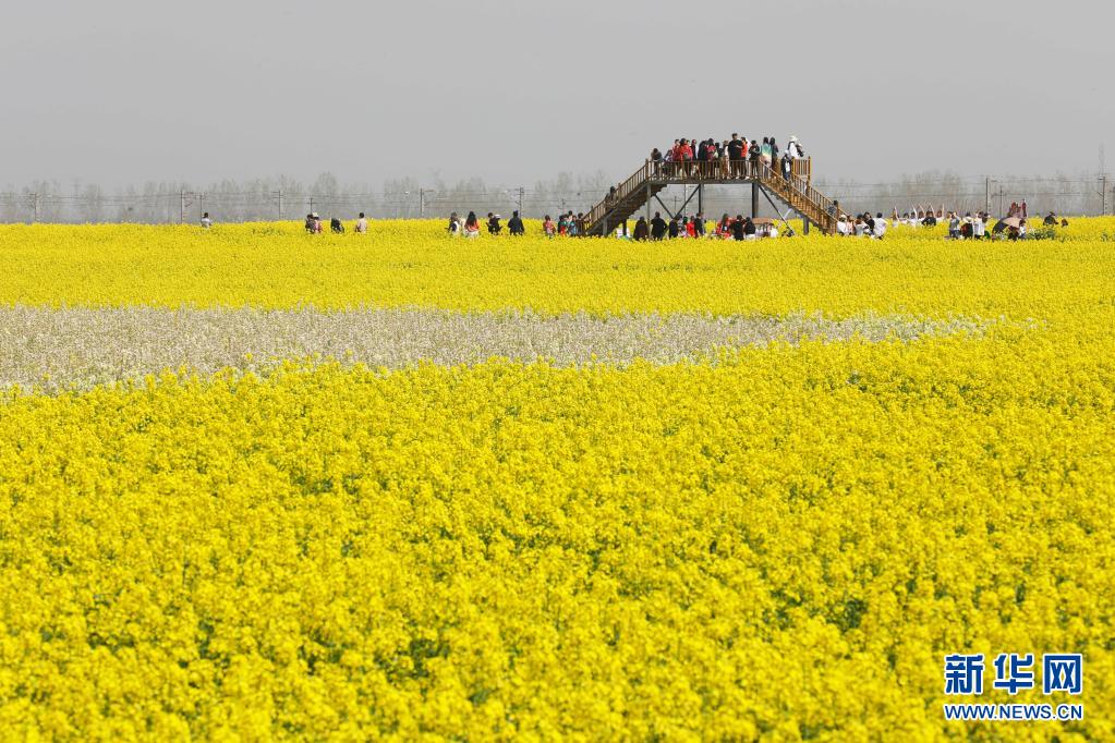 ���ό��S�������p������ �����l�����d