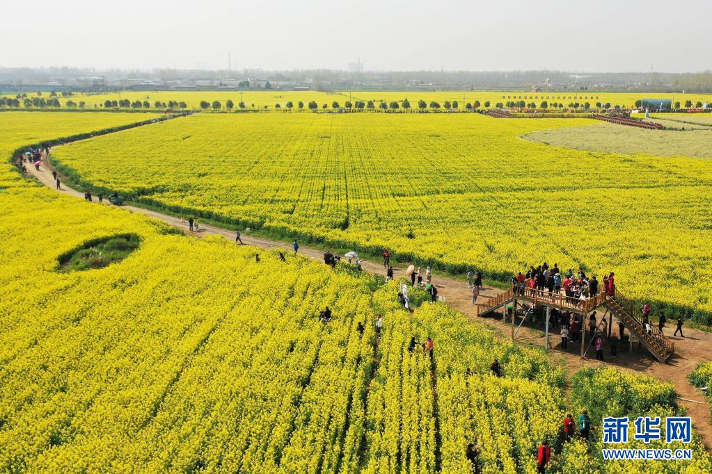 ���ό��S�������p������ �����l�����d