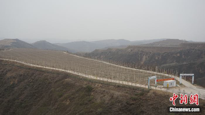 ���ʡ�Ӱ��а����^�ߘ���Ϝϴ����Bʾ���@�� <a target='_blank'  ><p  align=