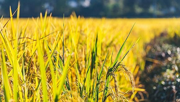 �������ٿ��Ї�(gu��)حÿһ�ۣ����ǽ^������