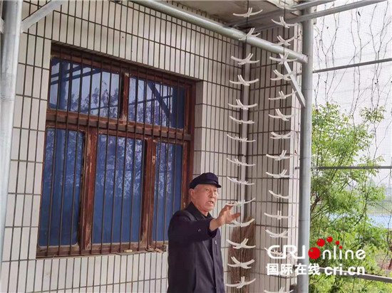 ���Ї��мs�����ʡ��ƽ�h���ɡ������I(y��)�l(f��)����ؔ  ���O�����l(xi��ng)��_fororder_2