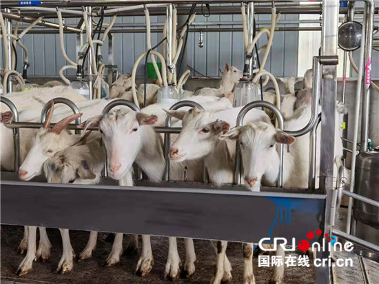 ���Ї��мs�����ʡ��ƽ�h���ɡ������I(y��)�l(f��)����ؔ  ���O�����l(xi��ng)��_fororder_5