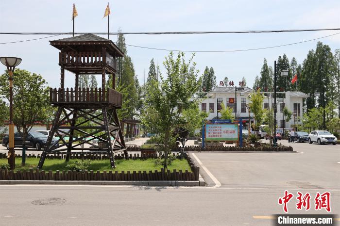 �D�����悭h���Ƀ����� ���� �z