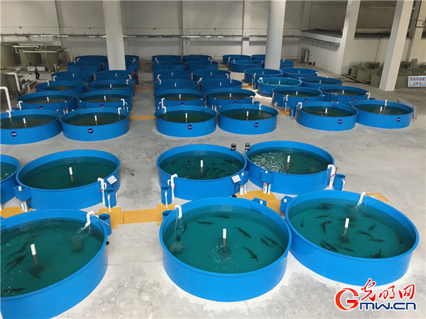 �������Ј� ���|���lչ�����󡿰l��������������������в������D�Ͱlչ�M�Еr