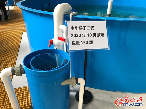 �������Ј� ���|���lչ�����󡿰l��������������������в������D�Ͱlչ�M�Еr