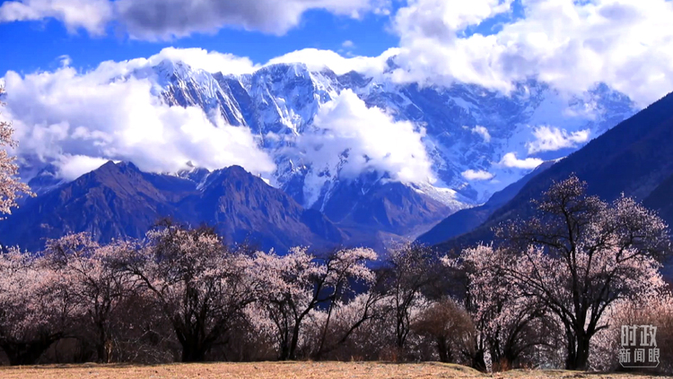 �r������ح����ӛ����֮�У��@Щ����ӳ������