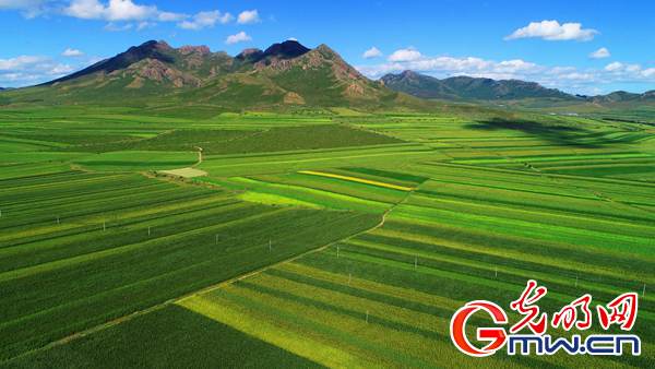 ������׃��ˇ�gƷ �a�I���d��Óؚ����ؚ