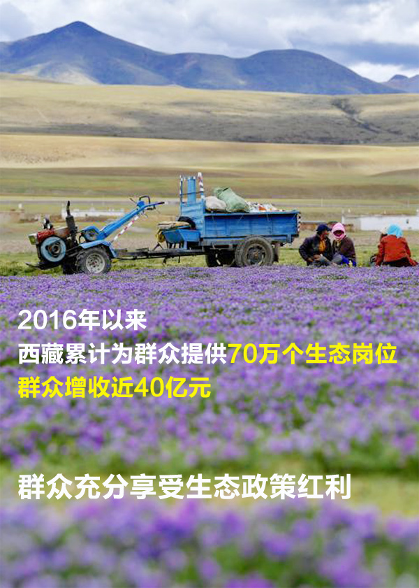 ������һ�M���֣������Gɫ���ء������B�ֵ