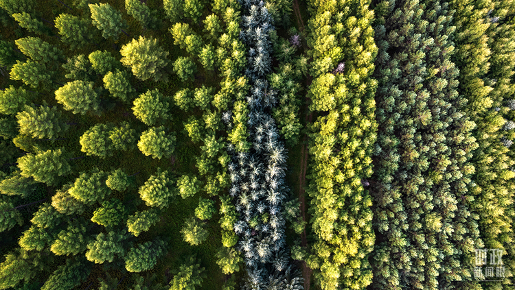 �r(sh��)������ح�����M�P(gu��n)�I�~����(x��)��ƽ����(sh��)ӛ�е�֮��