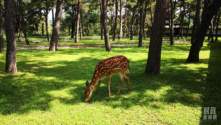 �r(sh��)������ح�����M�P(gu��n)�I�~����(x��)��ƽ����(sh��)ӛ�е�֮��