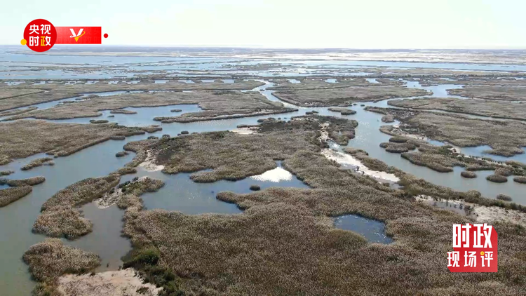 �r���F���uح���S����ӛ���_�� ���뺣�ڿ�����S�ӵľG�c�H��