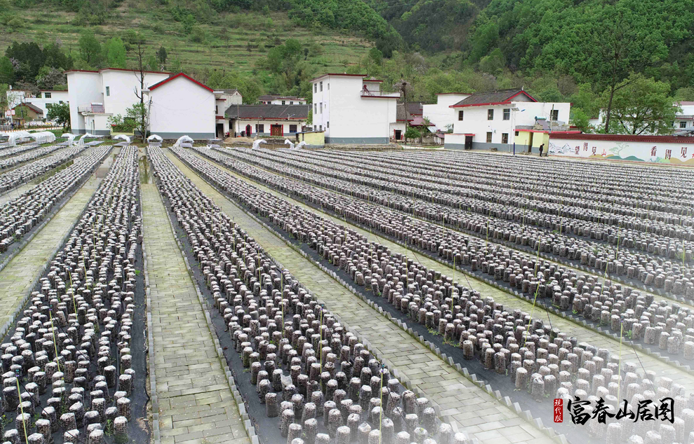 �@��2020��4��21���Ĕz����ˮ�hС�X悽��״�ĵ���ľ�����o�˙C��Ƭ����