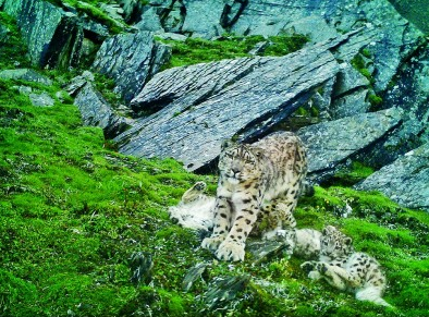 ����؈��(gu��)�ҹ��@�c������ϡҰ����(d��ng)ֲ���������