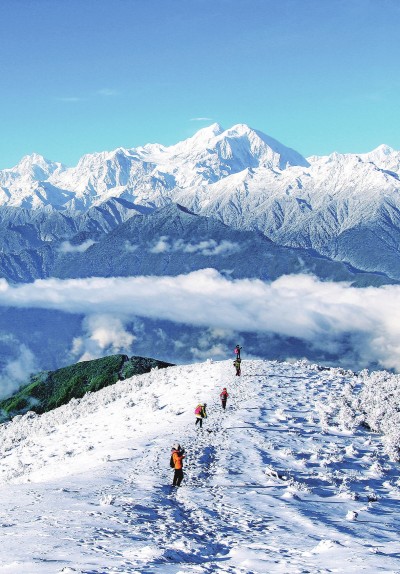 ����؈��(gu��)�ҹ��@�c������ϡҰ����(d��ng)ֲ���������