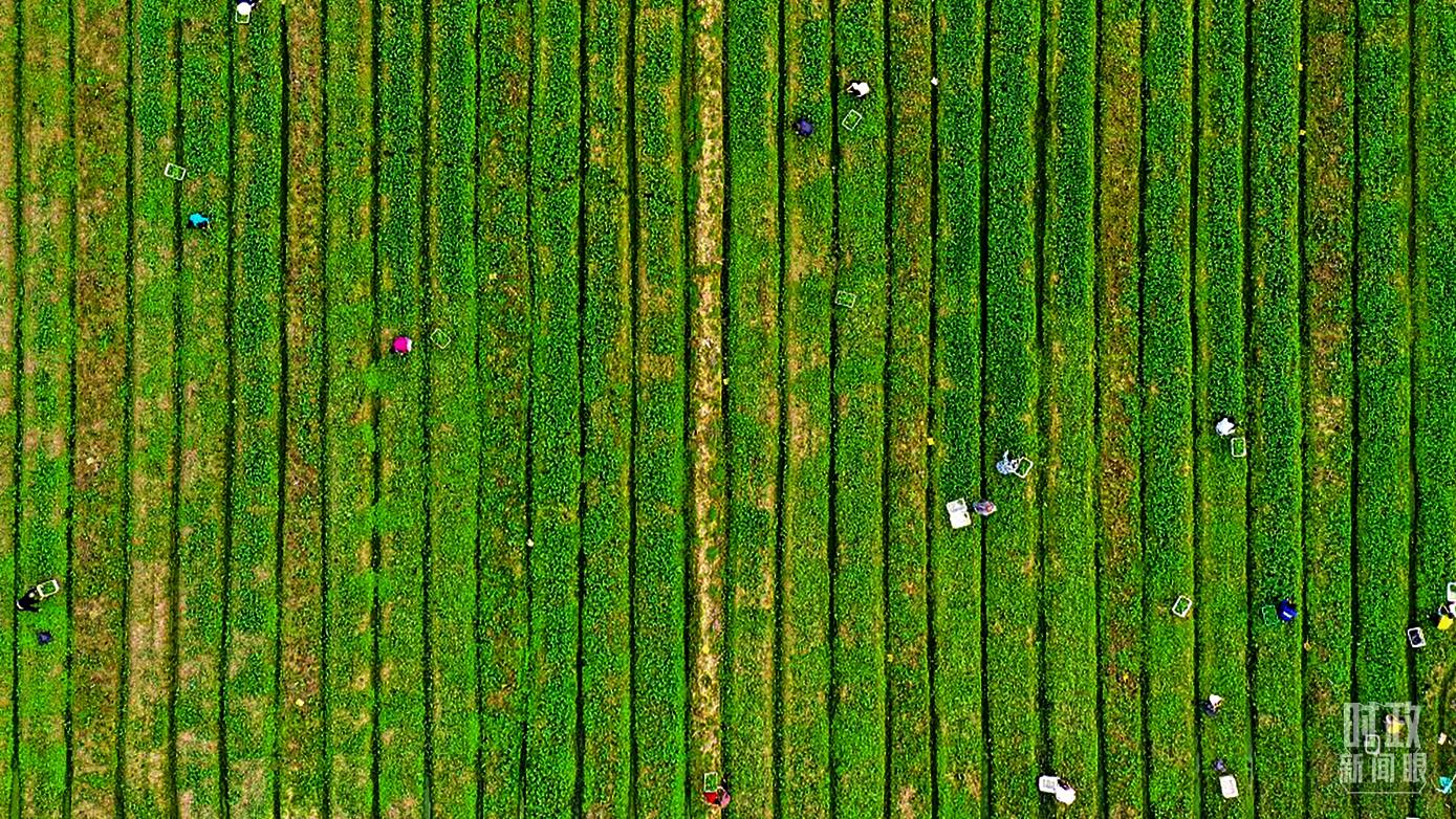 �������ݣ�Ҏ(gu��)ģ���r(n��ng)��־�Ȼ���򡣣��D/ҕ�X�Ї���