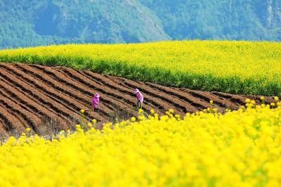 �������韣��l�g�����