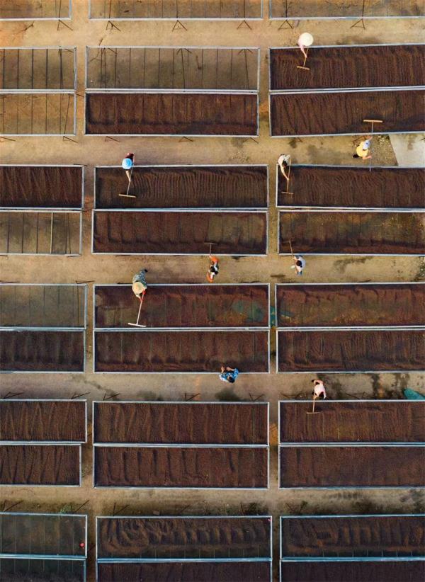 �@�������������ɽ�l(xi��ng)���d�����