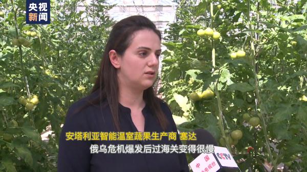 ����ք�ͻ׃�M�� �����������ڡ������_�㙉��