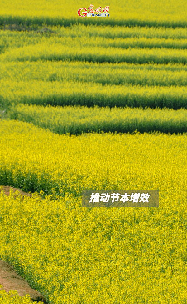 ���ӑB���󡿱���ȫ��Zʳ�S�����@Щ֧���������_�ˣ�