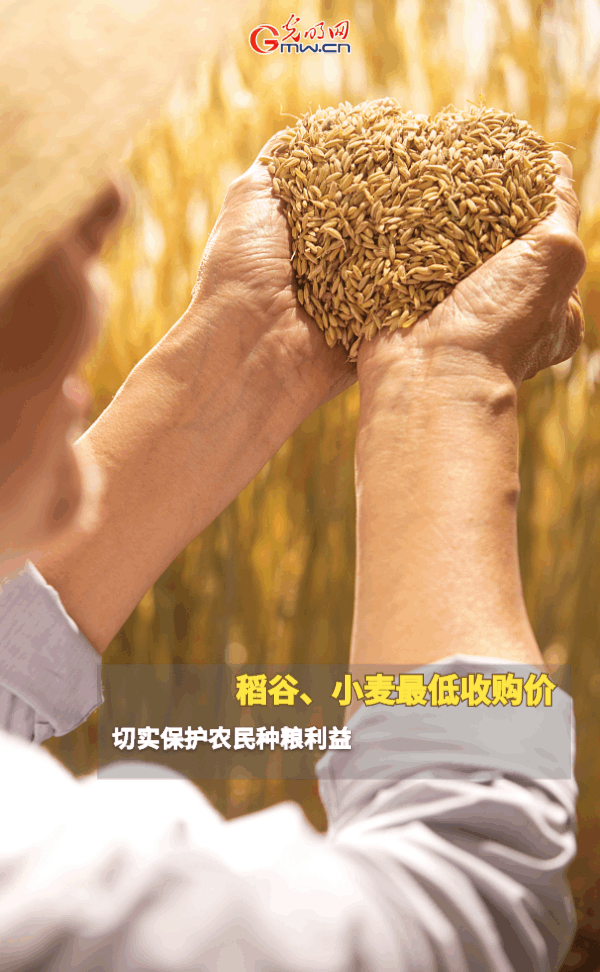 ���ӑB���󡿱���ȫ��Zʳ�S�����@Щ֧���������_�ˣ�