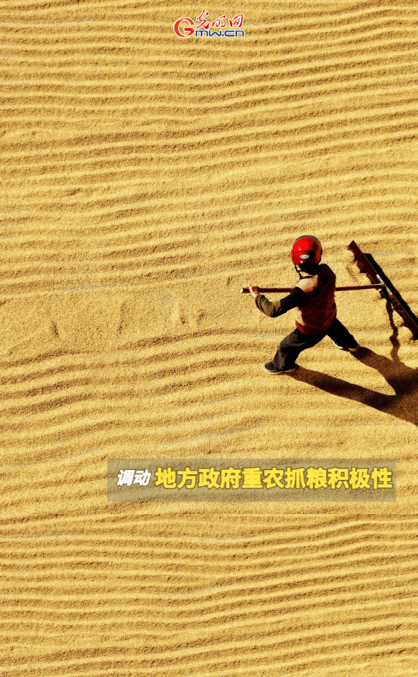 ���ӑB���󡿱���ȫ��Zʳ�S�����@Щ֧���������_����