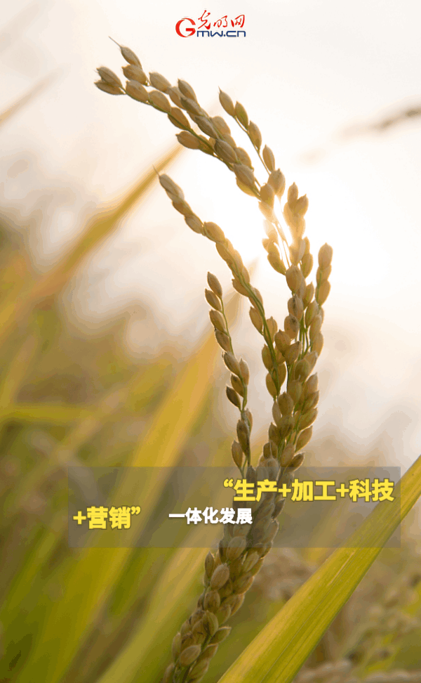 ���ӑB���󡿱���ȫ��Zʳ�S�����@Щ֧���������_�ˣ�