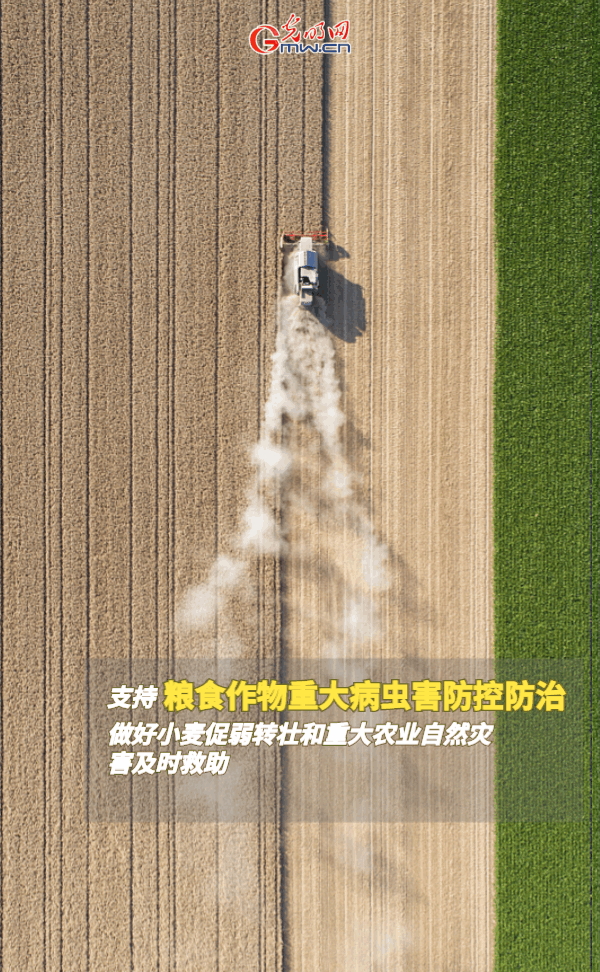 ���ӑB���󡿱���ȫ��Zʳ�S�����@Щ֧���������_����