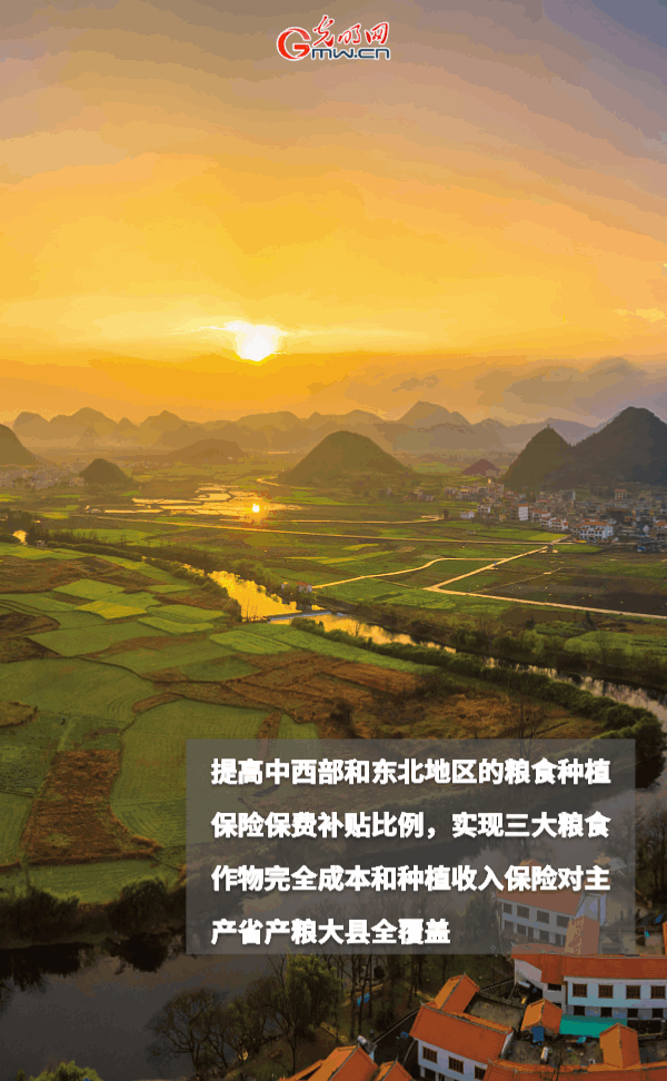 ���ӑB���󡿱���ȫ��Zʳ�S�����@Щ֧���������_����