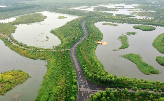 ����������B�ȵ�һ����2021��8��16�Քz���o�˙C��Ƭ�������A��ӛ�� ��Ȼ �z