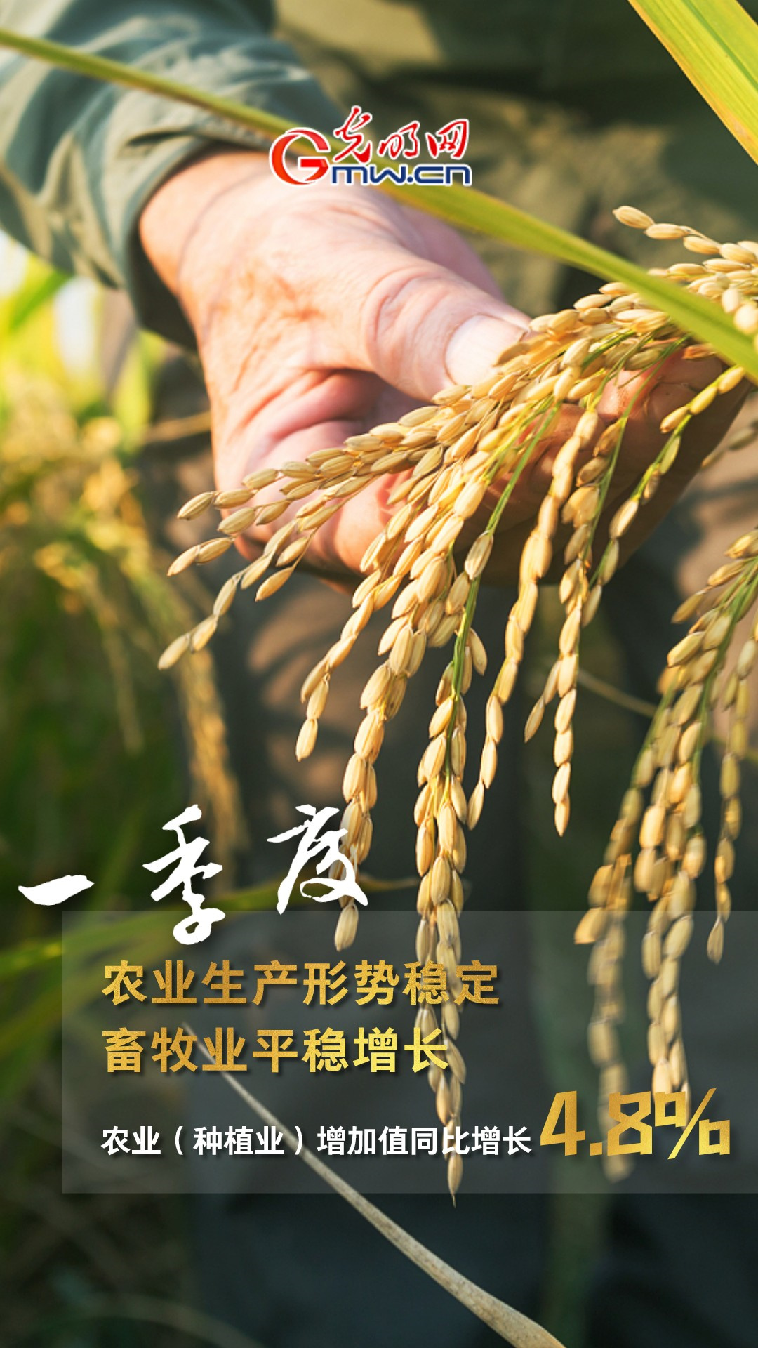 GDPͬ�����L4.8% һ���ȶ���ذ���������!