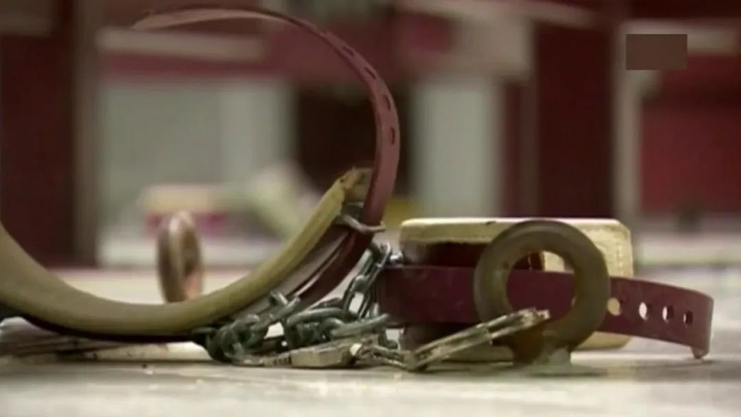 ���ȡ��J�,�o������14��!�ܺ��߽�¶�P����Ħ�O(ji��n)�z����