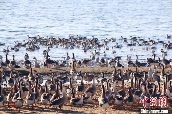 �������½����F��ɫ�Bֳ�Iǰ������