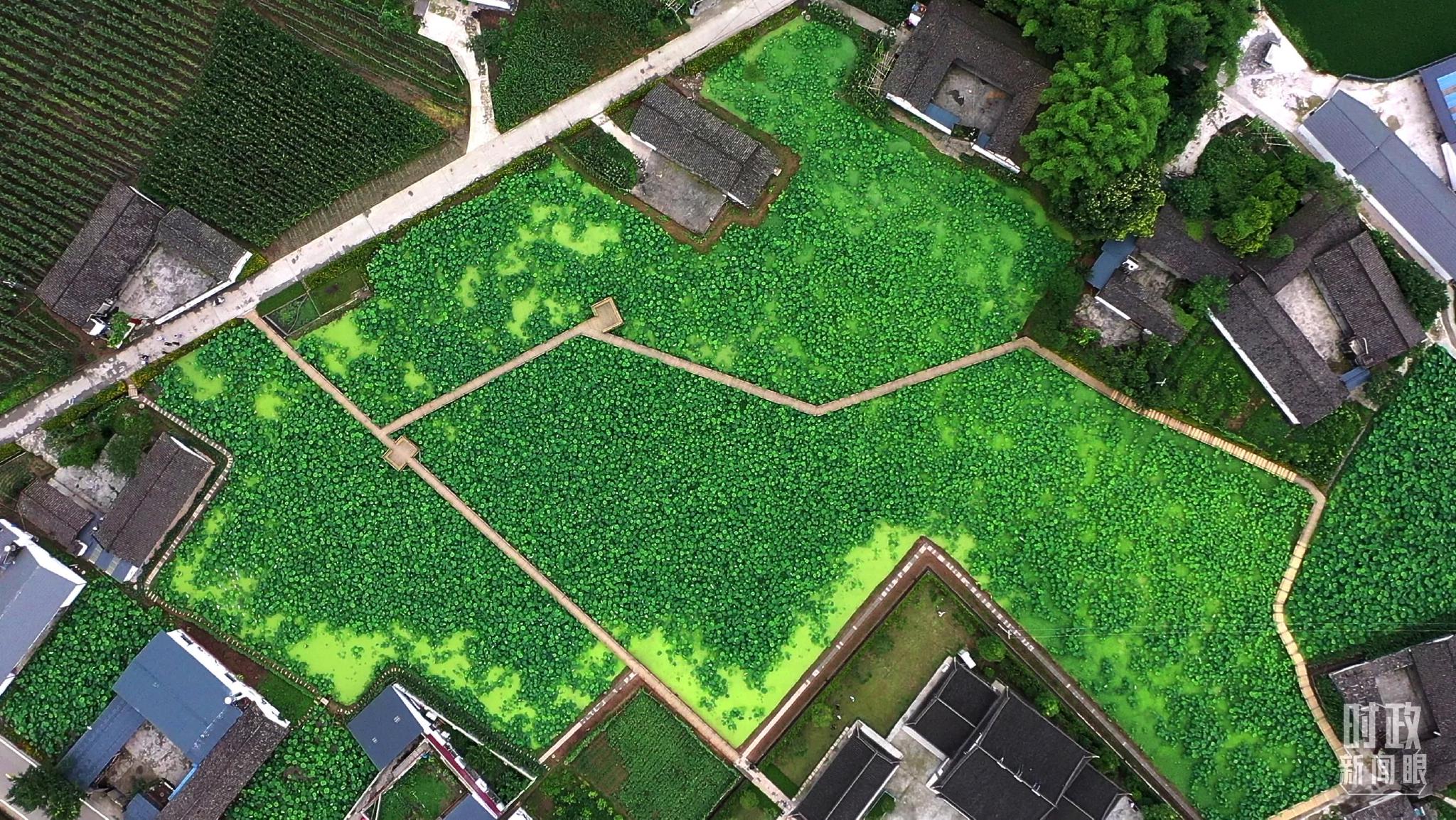 △俯瞰永豐村。(總臺記者齊濤拍攝) △俯瞰永豐村。(總臺記者齊濤拍攝)