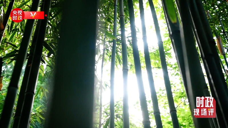 �r���F���uح���S����ӛ���_�� �����K���I�Ԗ|���Ļ��Ěv�Ï���