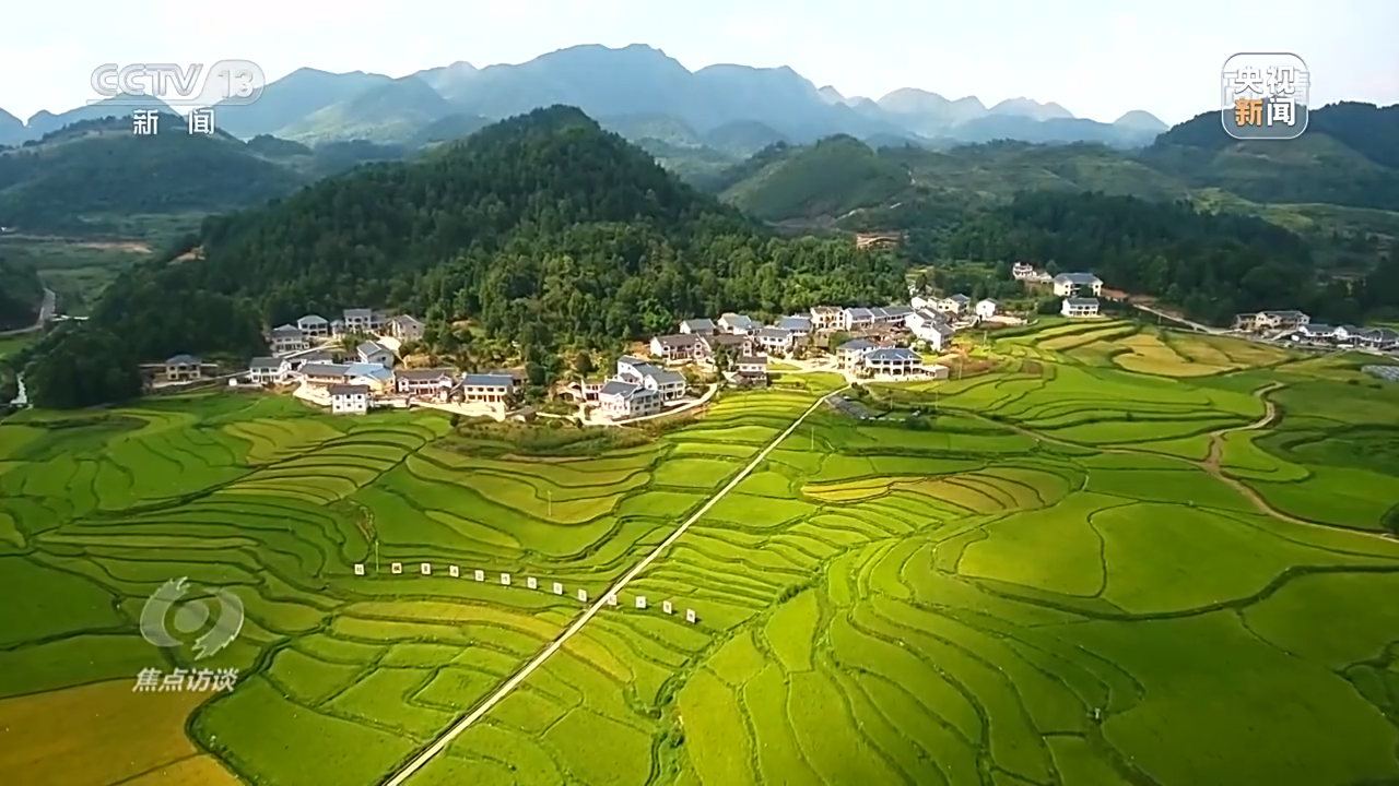 ���c�LՄح�tɫ���������������׌���������