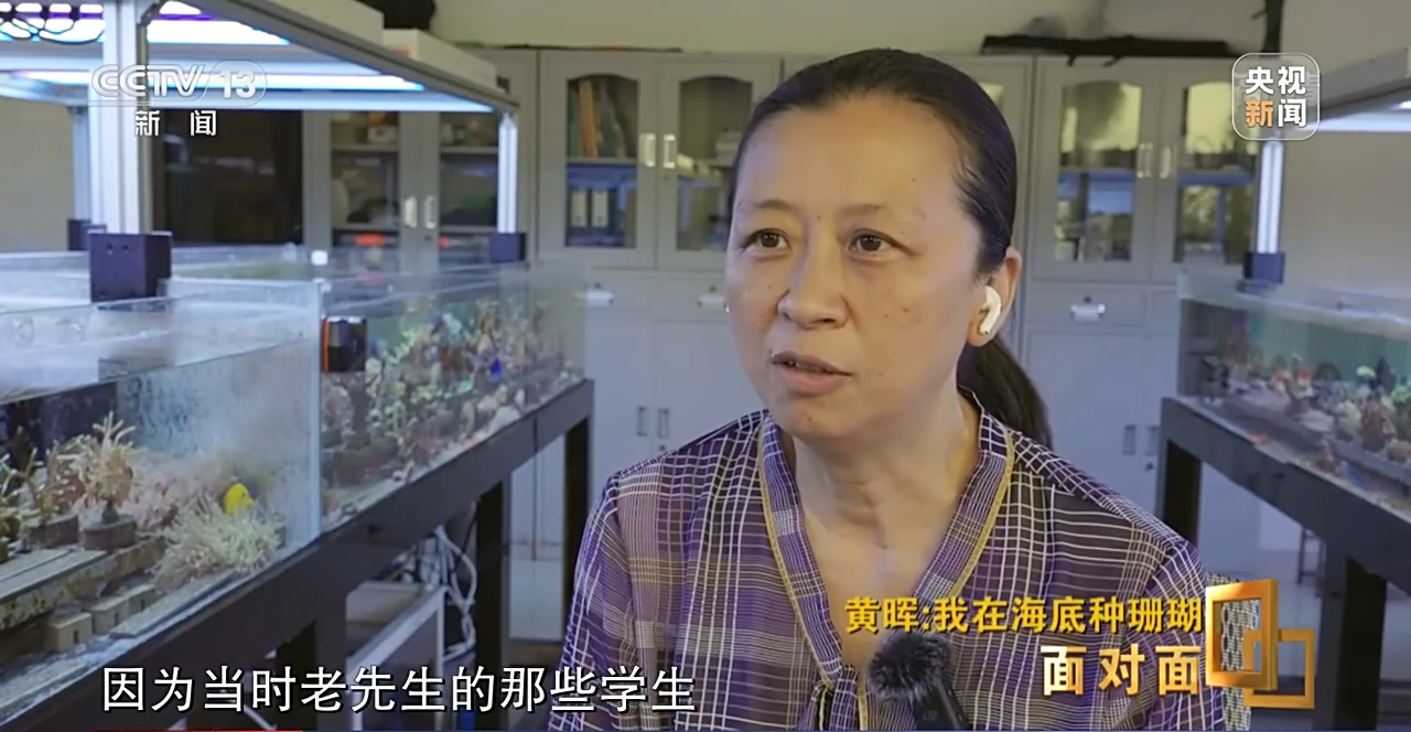 �挦��ح��ɺ���������S�����N��һƬ������ɭ�֡�