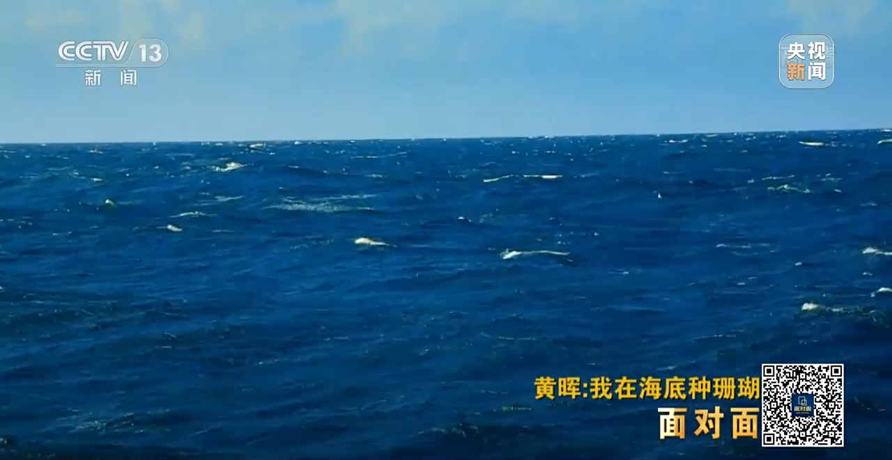 �挦��ح��ɺ���������S�����N��һƬ������ɭ�֡�