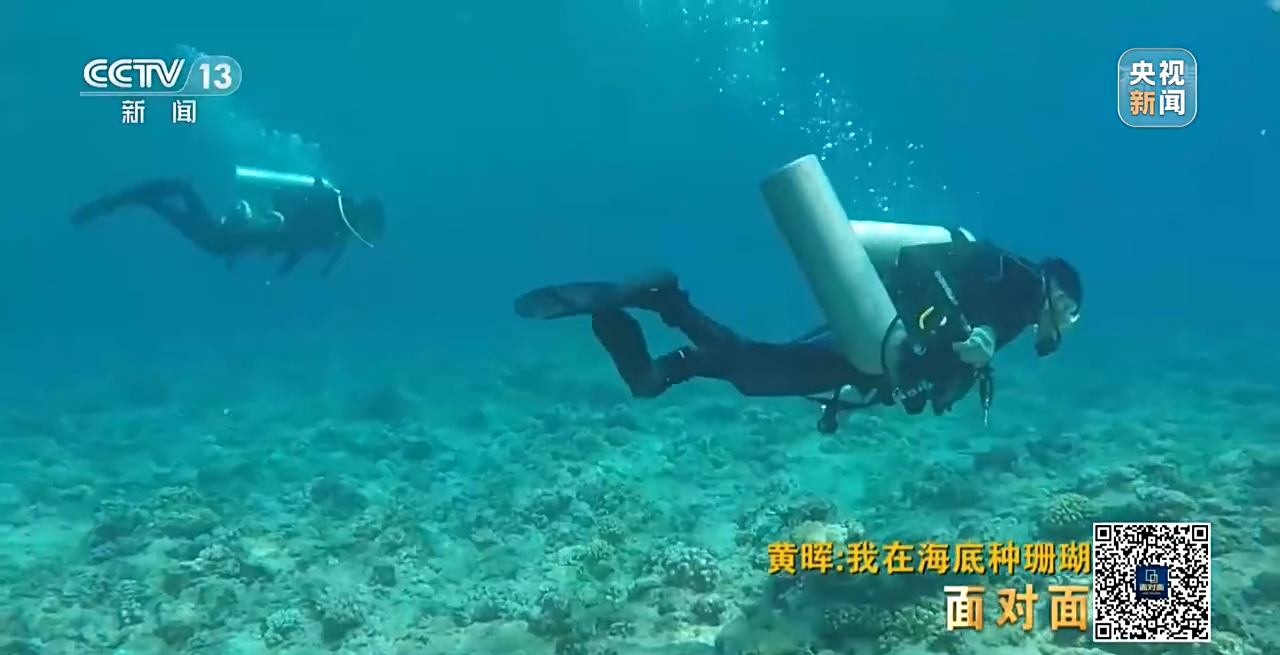 �挦��ح��ɺ���������S�����N��һƬ������ɭ�֡�