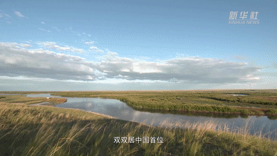 ������߅����������¡�ϵ��΢�o�Ƭ�ڶ��������l�ڱ����ֺ���